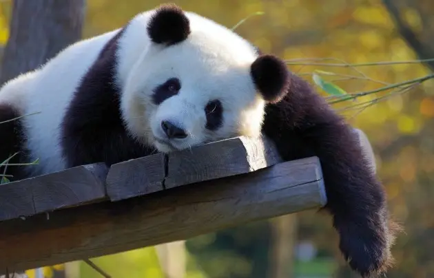 Meet China, Explore the Land