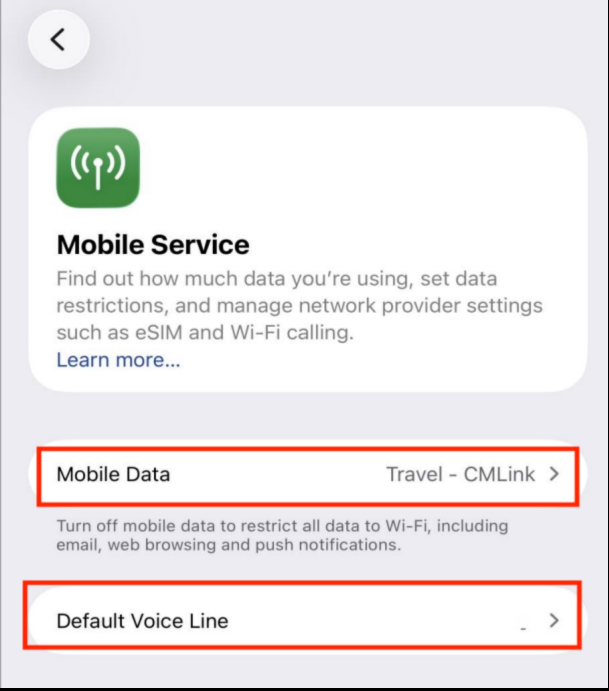 iPhone Mobile Service page showing eSIM card successfully added, displaying both primary number and travel eSIM