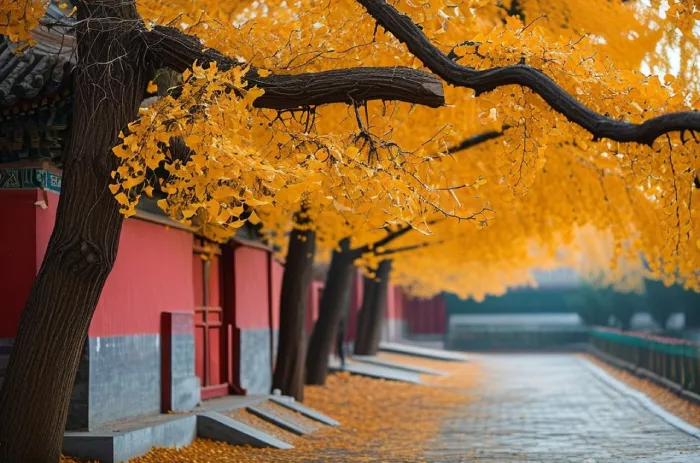 Beijing cultural landmarks and travel