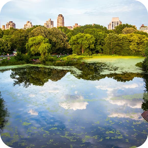 Central African Republic eSIM - Travel Data Plan