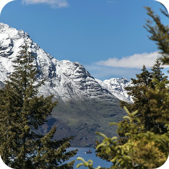 New Zealand eSIM - Travel Data Plan