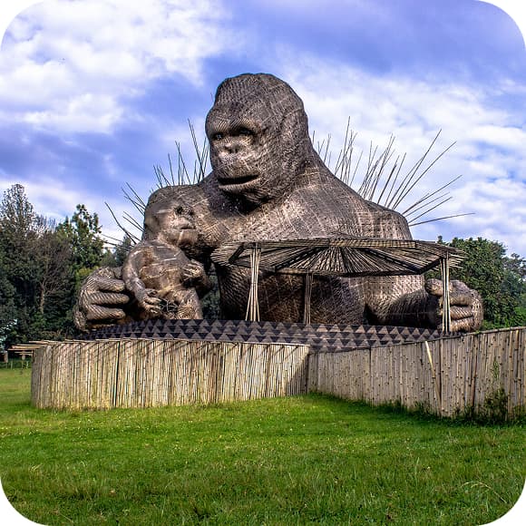 Rwanda eSIM - Travel Data Plan