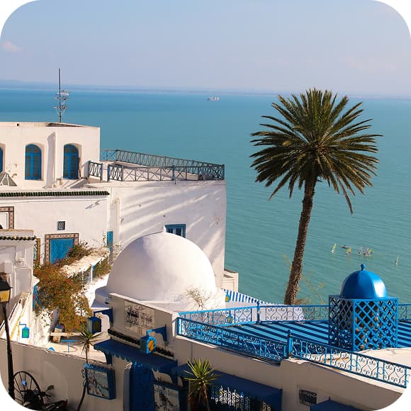 Tunisia eSIM - Travel Data Plan